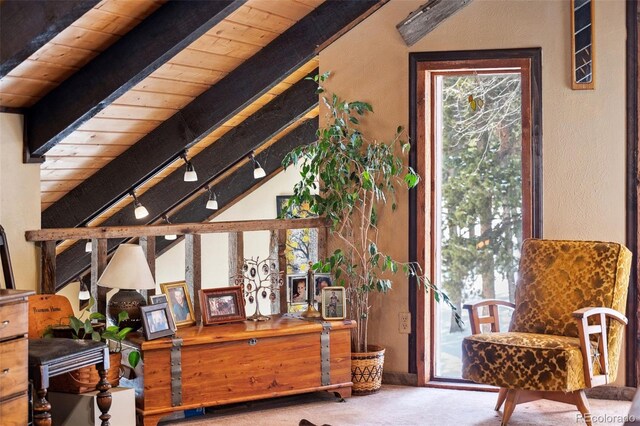 266 Lodgepole Dr, Evergreen, CO 80439 - sitting room featuring wood ceiling, carpet floors, rail lighting, and beam ceiling