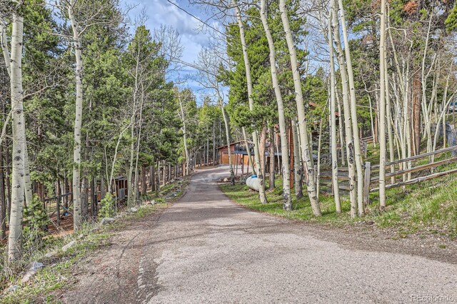 266 Lodgepole Dr, Evergreen, CO 80439 - photo 43