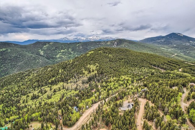 266 Lodgepole Dr, Evergreen, CO 80439 - photo 2