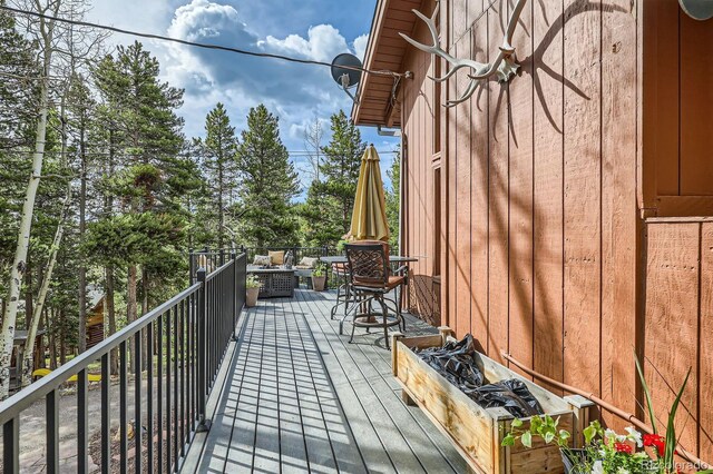 266 Lodgepole Dr, Evergreen, CO 80439 - photo 35
