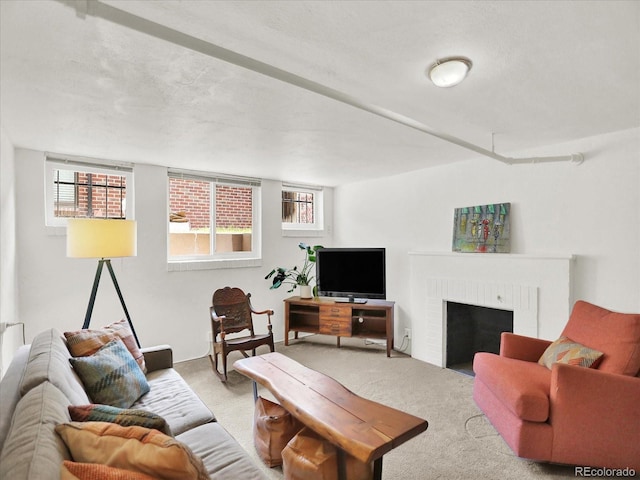 1247 Dexter St, Denver, CO 80220 - living room featuring carpet flooring and a fireplace