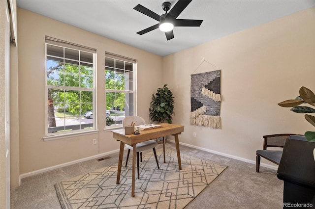 923 Mircos St, Erie, CO 80516 - photo 5