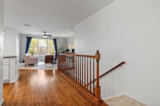 923 Mircos St, Erie, CO 80516 - photo 8