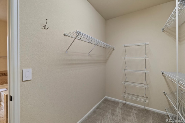 923 Mircos St, Erie, CO 80516 - photo 24