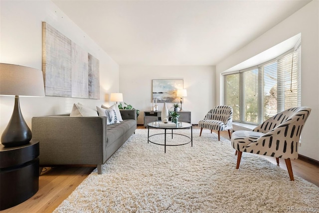 living area featuring wood finished floors