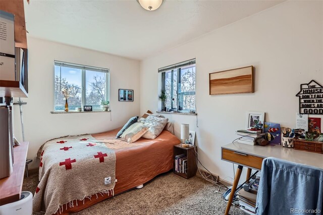 view of carpeted bedroom