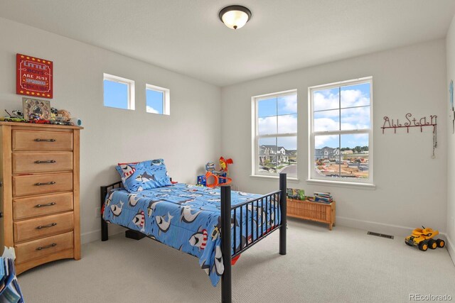 16002 E 111th Cir, Commerce City, CO 80022 - carpeted bedroom with baseboards