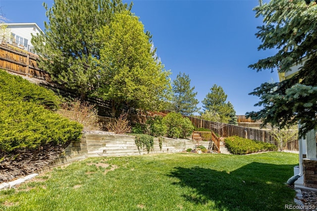 view of yard