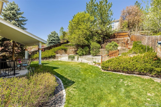 view of yard featuring a patio area