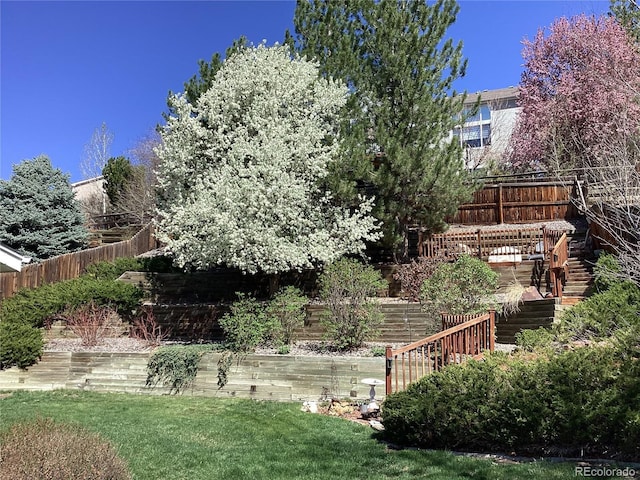 view of yard featuring a deck