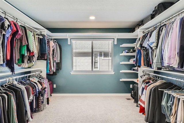 walk in closet with carpet flooring