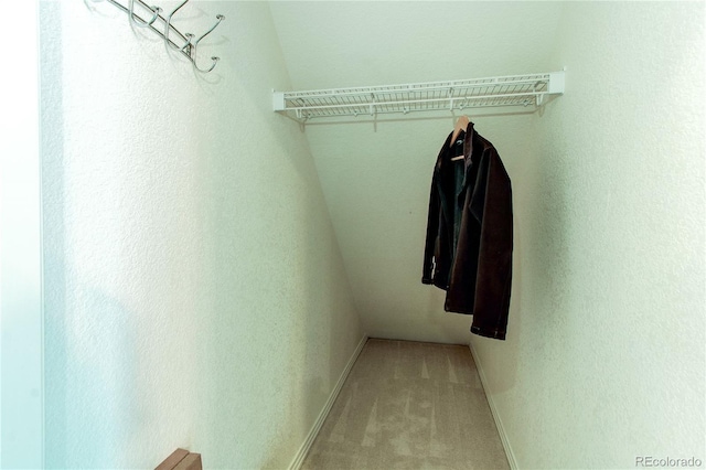 spacious closet with carpet floors