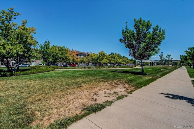 view of property's community with a lawn