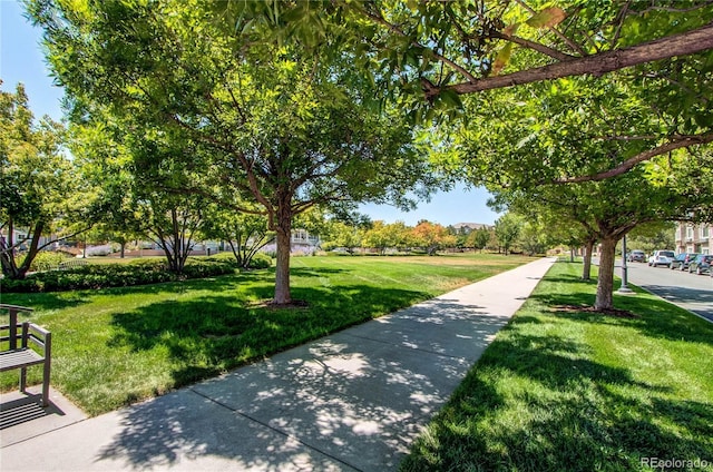 view of home's community with a lawn