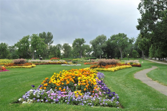 view of home's community with a yard