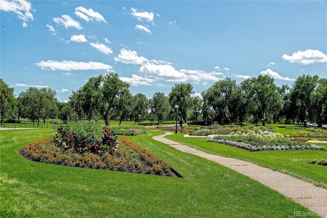 view of home's community featuring a yard and a rural view