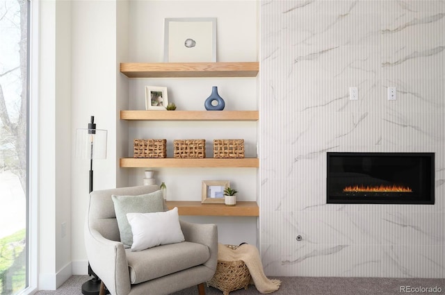 1117 S Madison St, Denver, CO 80210 - sitting room with carpet flooring and a warm lit fireplace