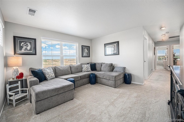 731 Shooting Star Way, Brighton, CO 80640 - photo 15