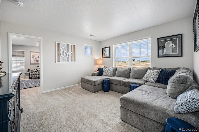 731 Shooting Star Way, Brighton, CO 80640 - photo 16