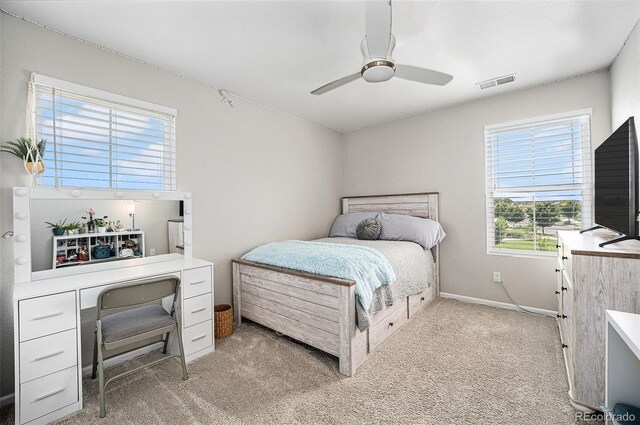 731 Shooting Star Way, Brighton, CO 80640 - photo 22