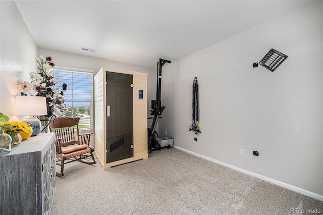 731 Shooting Star Way, Brighton, CO 80640 - photo 23