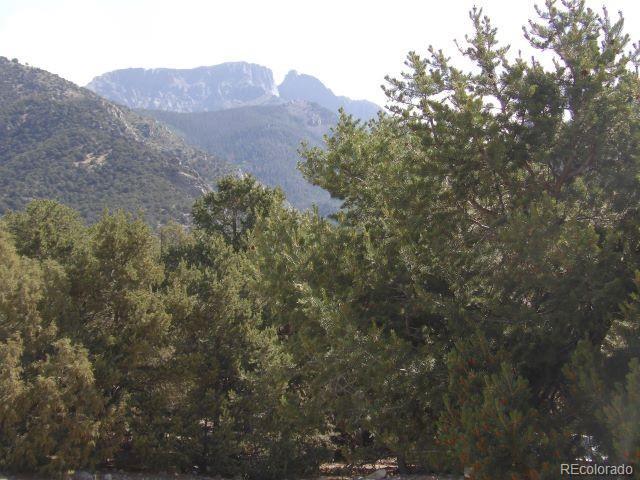 2720 N Carefree Way, Crestone, CO 81131 - photo 5