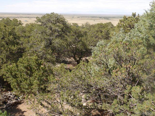 2720 N Carefree Way, Crestone, CO 81131 - photo 7