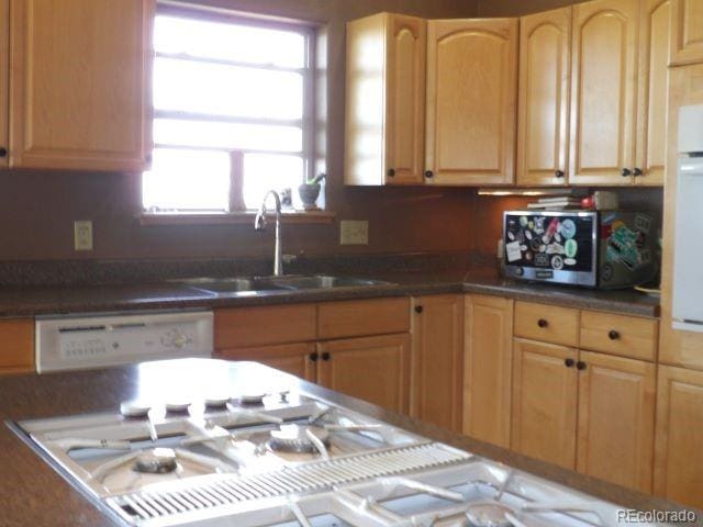 2720 N Carefree Way, Crestone, CO 81131 - photo 13