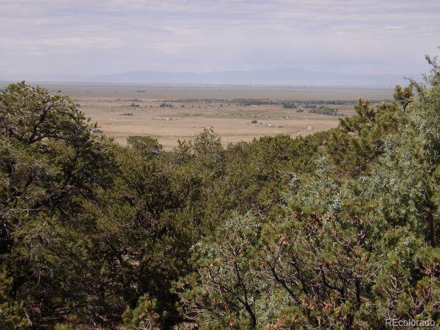 2720 N Carefree Way, Crestone, CO 81131 - photo 30