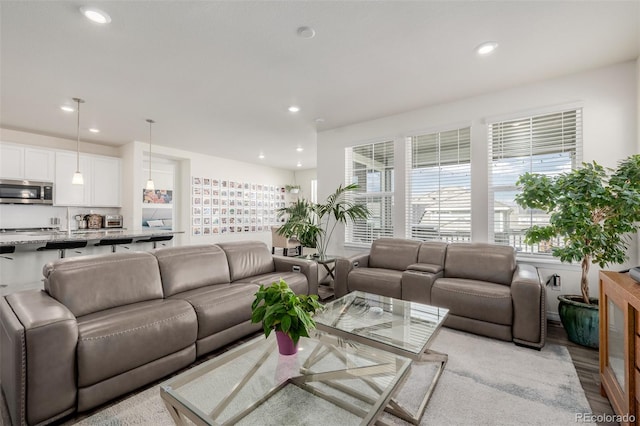 living room featuring light hardwood / wood-style flooring