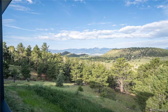 950 Junkins Loop, Westcliffe, CO 81252 - photo 33