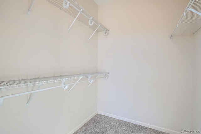 7440 S Blackhawk St Unit 4-102, Englewood, CO 80112 - walk in closet with light carpet