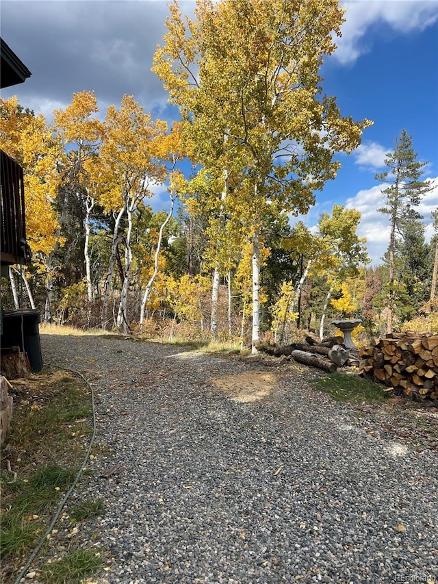 11798 Ridge Rd, Golden, CO 80403 - view of yard