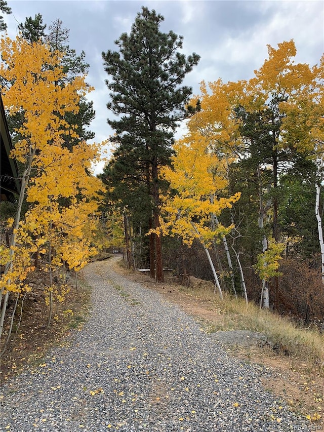 11798 Ridge Rd, Golden, CO 80403 - view of dirt / gravel road featuring a wooded view