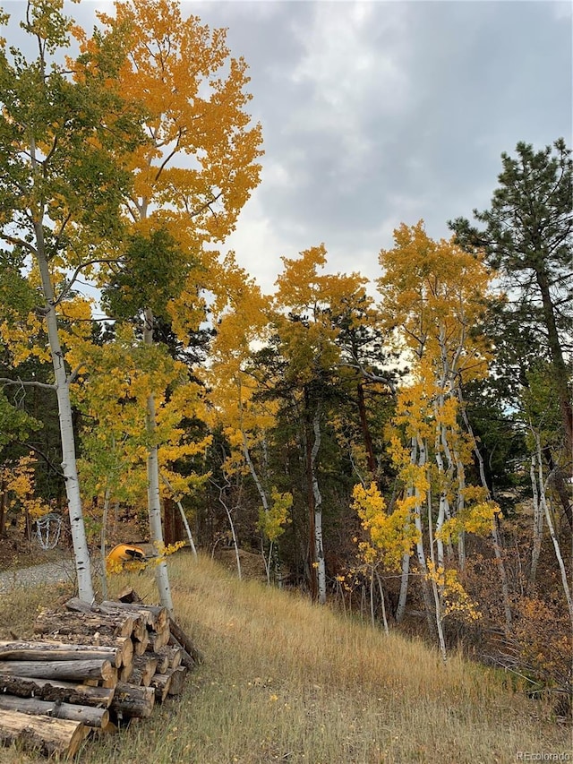 11798 Ridge Rd, Golden, CO 80403 - view of local wilderness