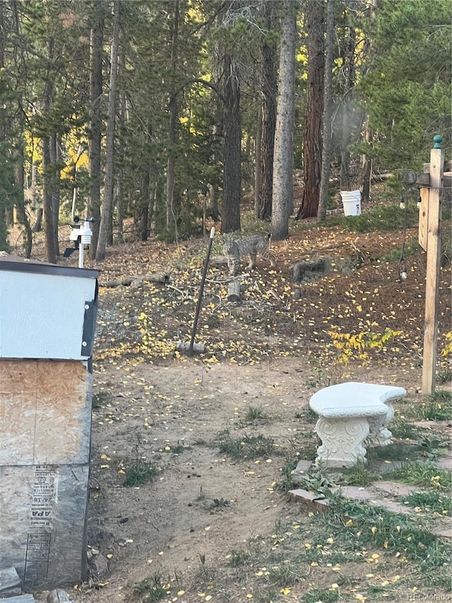 11798 Ridge Rd, Golden, CO 80403 - view of yard
