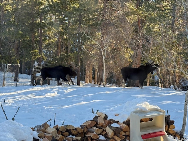 11798 Ridge Rd, Golden, CO 80403 - yard layered in snow with fence