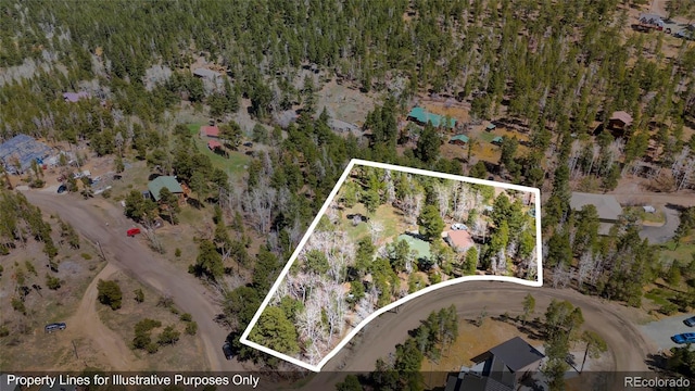 11798 Ridge Rd, Golden, CO 80403 - photo 7