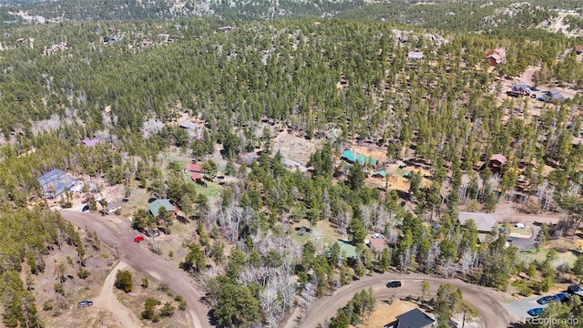 11798 Ridge Rd, Golden, CO 80403 - photo 44