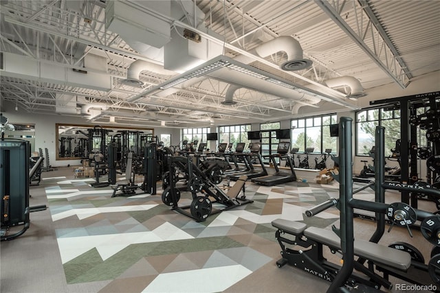 gym featuring carpet flooring