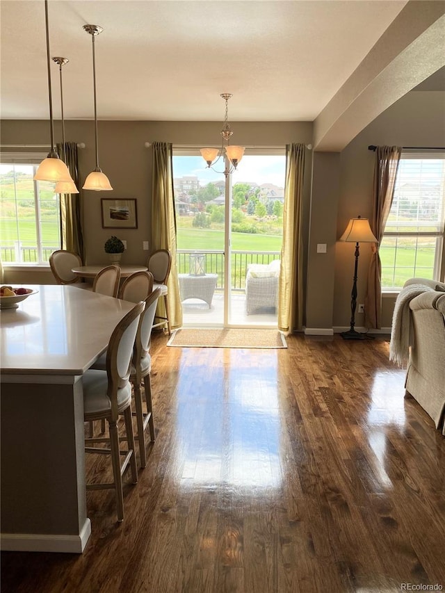 dining room with a chandelier and dark hardwood / wood-style floors