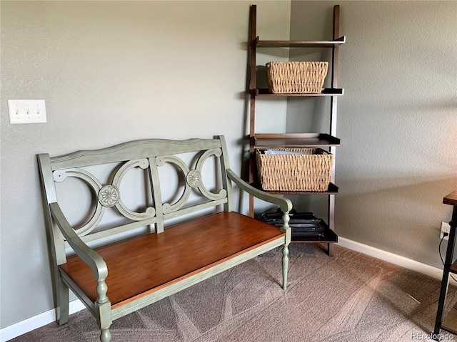 sitting room featuring carpet flooring