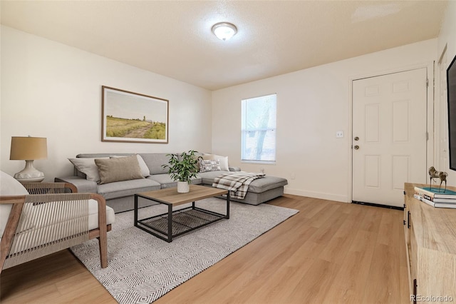 living room featuring light hardwood / wood-style floors