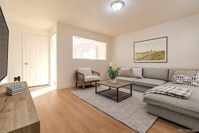 living room featuring light hardwood / wood-style floors and a textured ceiling