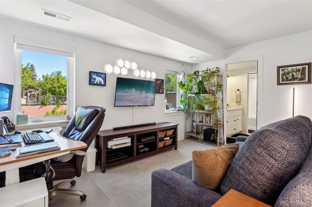 1299 Newton St, Denver, CO 80204 - view of carpeted office