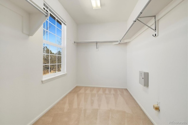 walk in closet featuring carpet floors