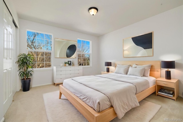 bedroom featuring carpet floors