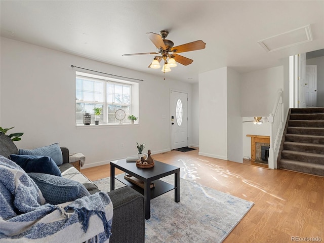 living room with ceiling fan and light wood-type flooring