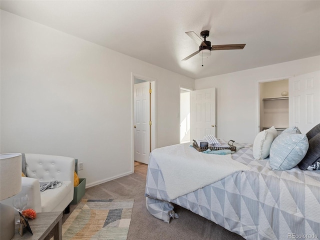 carpeted bedroom featuring a walk in closet, ceiling fan, and a closet