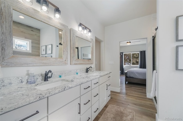 bathroom with wood-type flooring and vanity